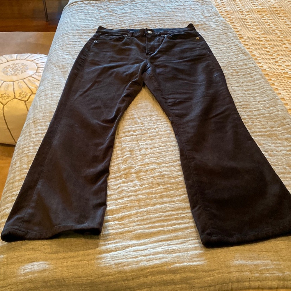 Citizens navy velvet jeans